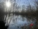 For sale Land Choiseul 52240 6600 m2
