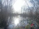 Land CHOISEUL 