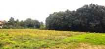Annonce Vente Terrain