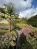 House VILLERS-COTTERETS 