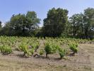 Annonce Vente 5 pices Maison Sainte-cecile-les-vignes