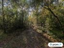 Acheter Terrain 9625 m2 Cannet-des-maures