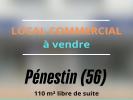 For sale House Penestin  56760 110 m2