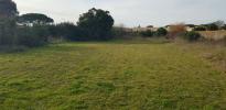 Land SAINT-PIERRE-D'OLERON 