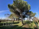 Acheter Maison 77 m2 Sainte-livrade-sur-lot