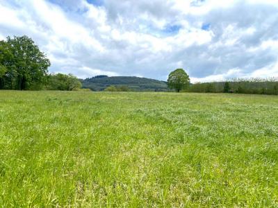 photo For sale Land SAINT-AMOUR 39