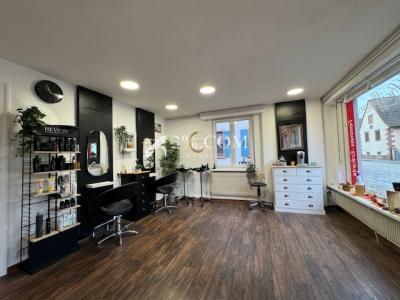 Vente Local commercial BITSCHHOFFEN 67350