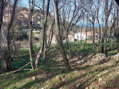 photo For sale Land VILLE-DI-PARASO 20