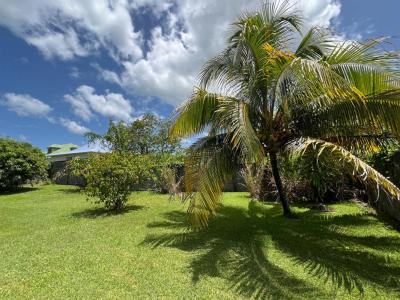 photo For sale House MORNE-A-L'EAU 971