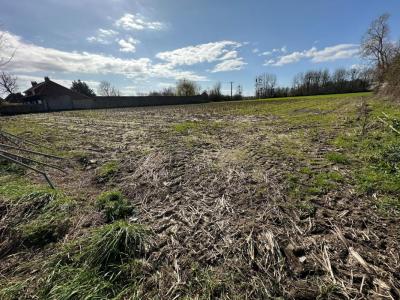 Vente Terrain CONDETTE 62360