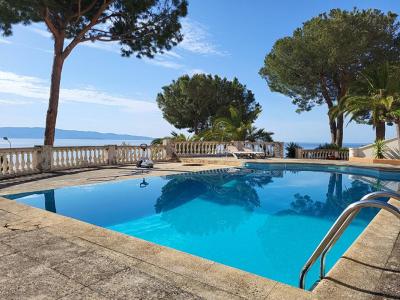 Vente Maison 10 pices AJACCIO 20000