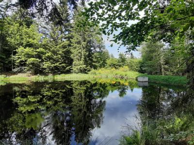 photo For sale Land FAUCOGNEY-ET-LA-MER 70