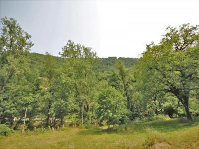Vente Terrain BOR-ET-BAR 12270