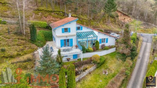 Vente Maison 7 pièces AUREC-SUR-LOIRE 43110