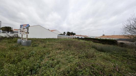 Vente Terrain SAINT-HILAIRE-DE-RIEZ 85270