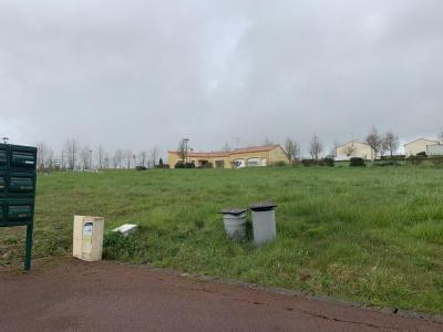 Vente Terrain MOUILLERON-LE-CAPTIF 85000