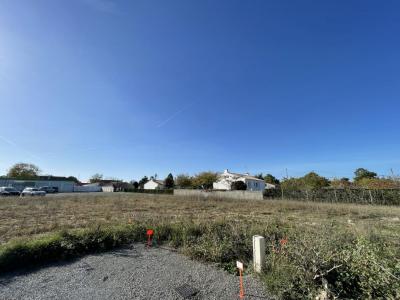 Vente Maison SAINT-DENIS-LA-CHEVASSE 85170