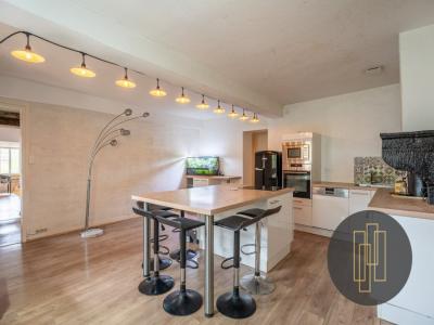 Vente Maison FRONTENAS 