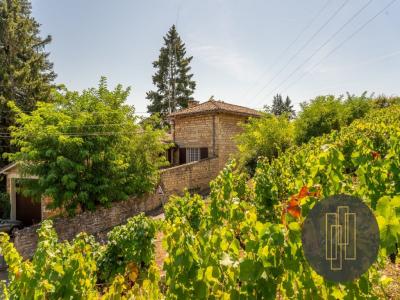 For sale Prestigious house POMMIERS  69