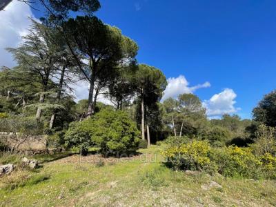 Vente Maison BRIGNOLES 