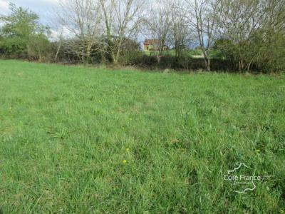 Vente Terrain BELVES 24170