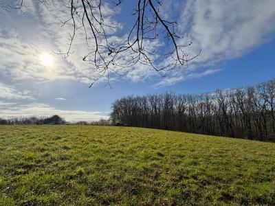 Vente Terrain AUBAREDE 65350