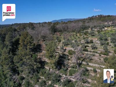 photo For sale Land CABRIS 06
