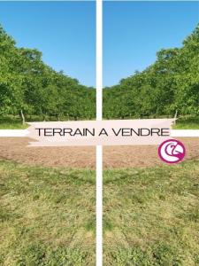 Vente Terrain LIGNE 44850