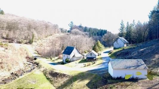 Vente Prestige SAINT-HILAIRE-LES-COURBES 19170