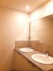 House LIMOUX 