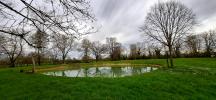 House MONTREVEL-EN-BRESSE 