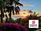 Acheter Prestige Pointe-noire Guadeloupe