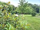 Annonce Vente Maison Auby