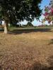 Land  EN CAMARGUE