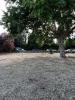 Land  EN CAMARGUE