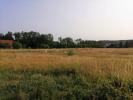 Annonce Vente Maison Messia-sur-sorne