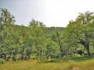 Vente Terrain Bor-et-bar 12270 1675 m2