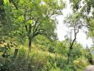 Annonce Vente Terrain Bor-et-bar