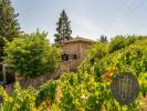 For sale Prestigious house Pommiers  69480 240 m2 7 rooms