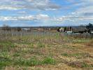 Annonce Vente Maison Beblenheim