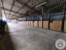 Annonce Vente Immeuble Warhem