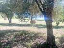 Acheter Maison Montpellier 519800 euros