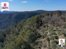 Land CABRIS SAINT-CEZAIRE-SUR-SIAGNE