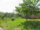 Annonce Location 3 pièces Maison Castellare-di-casinca