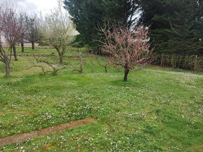 Vente Terrain AZAY-LE-RIDEAU 37190