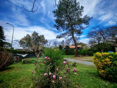 For sale House DAX  40