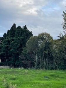Vente Terrain SALON-DE-PROVENCE 13300