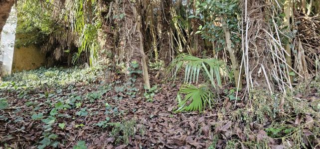 photo For sale Land AUCH 32