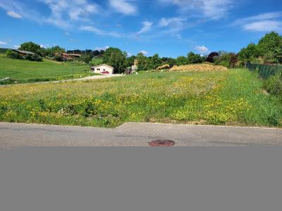 photo For sale Land LASSERAN 32