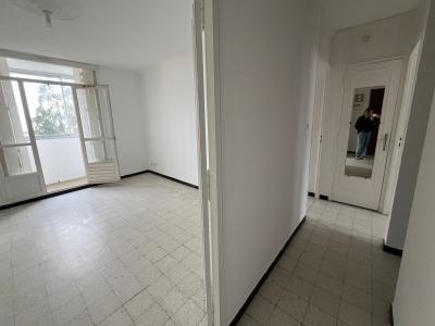 Vente Appartement 4 pices FURIANI 20600